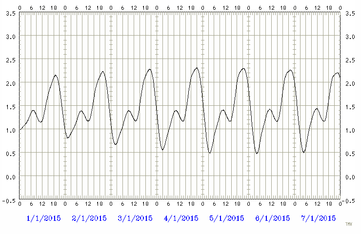 Predicted tide chart