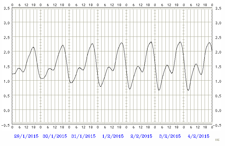 Predicted tide chart