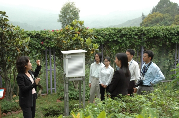 Tsuen Wan Automatic Weather Station