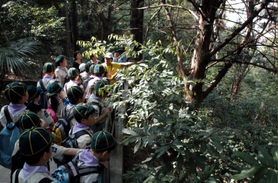 Nature loving Scouts exploring the special ecological environment of this 'oasis' within the Observatory