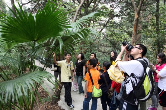 A 'Friends of the Observatory' volunteer (1st left) explaining the ecology of trees in the Observatory headquarters.