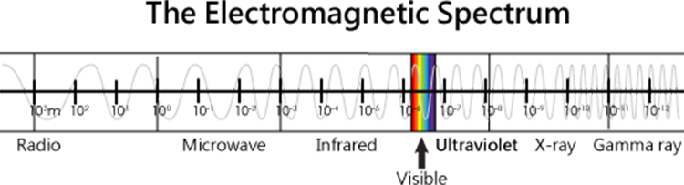Visible light is in between the wavelength of infrared and ultraviolet