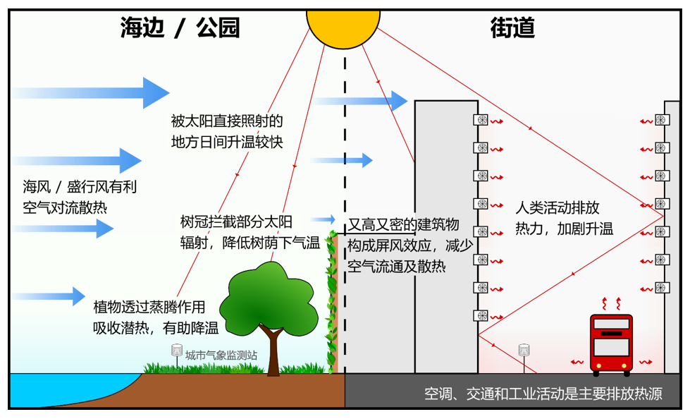 图四  环境因素和人为活动对气温的影响。