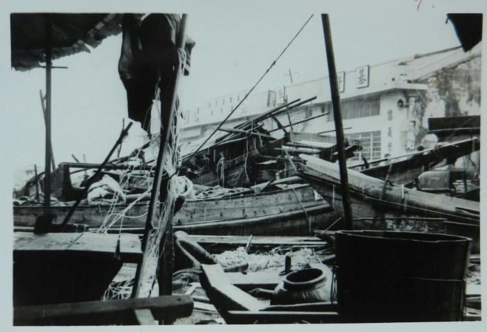 颱風溫黛歷史相片五