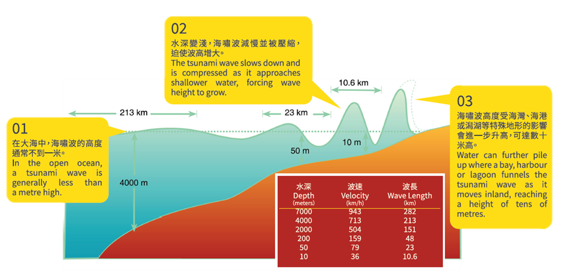海嘯波傳播示意圖