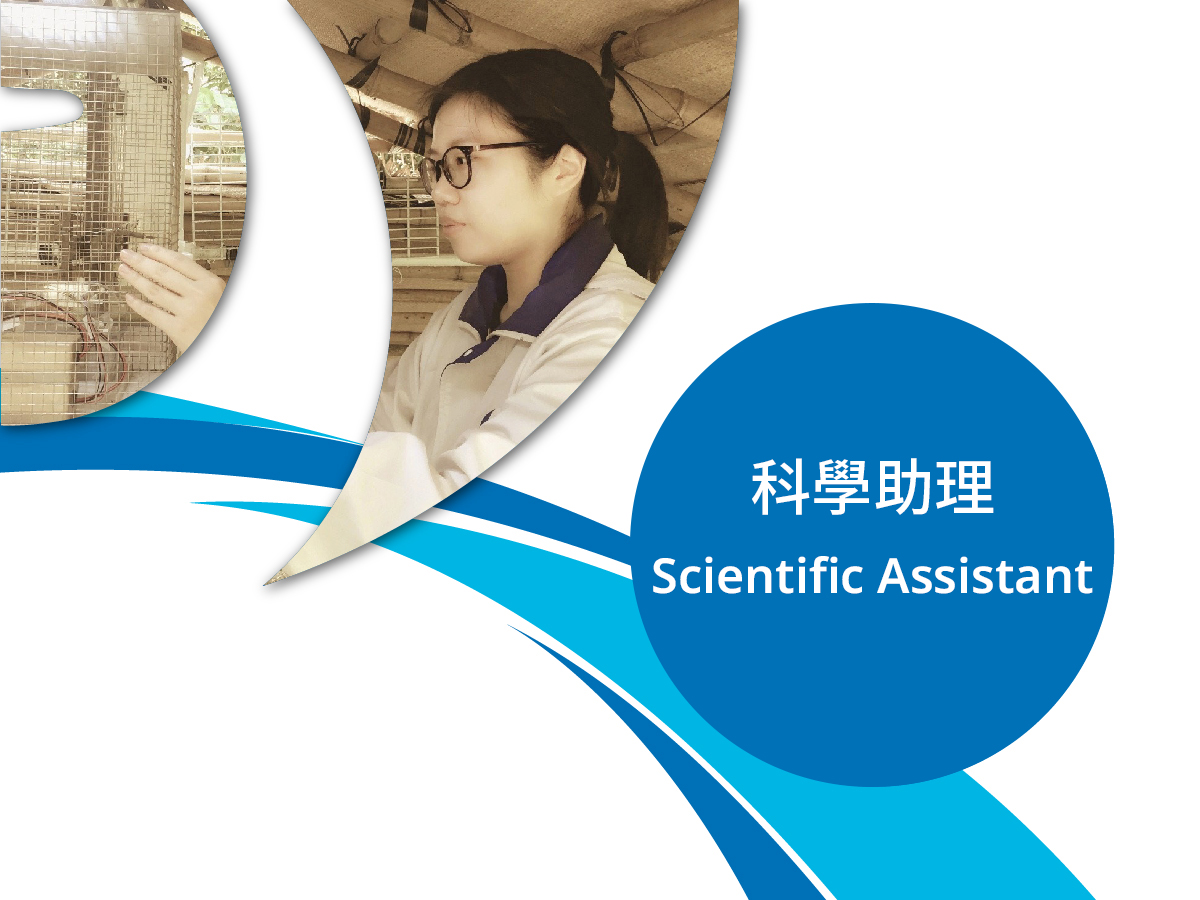 科学助理