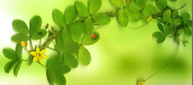 天文台全方位遊