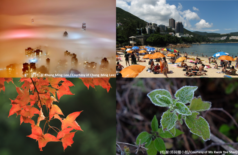 Figure 2.  Four seasons in Hong Kong.