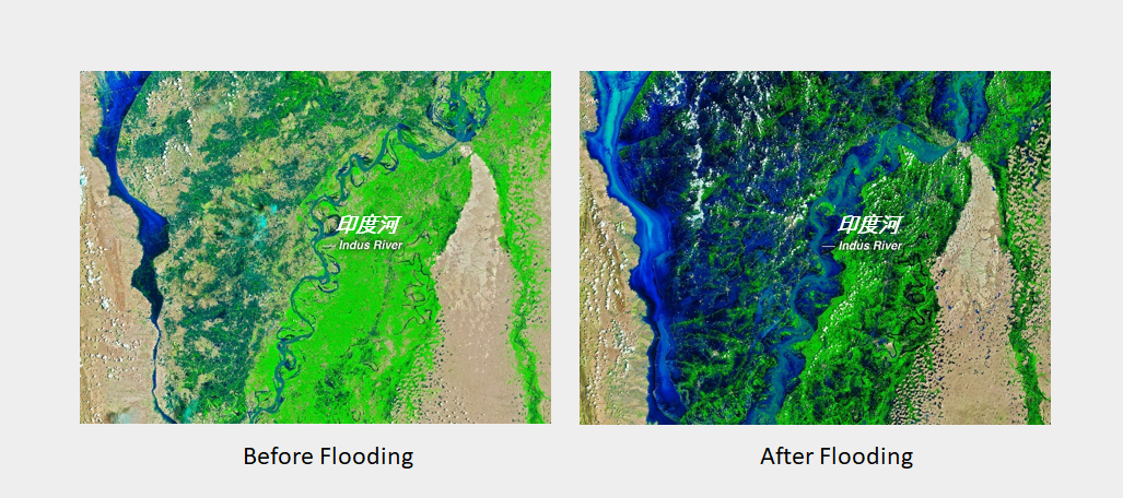 Latest Developments in Global Climate Change