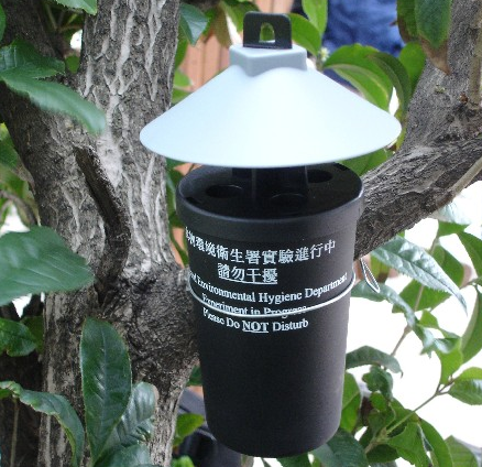 圖一
