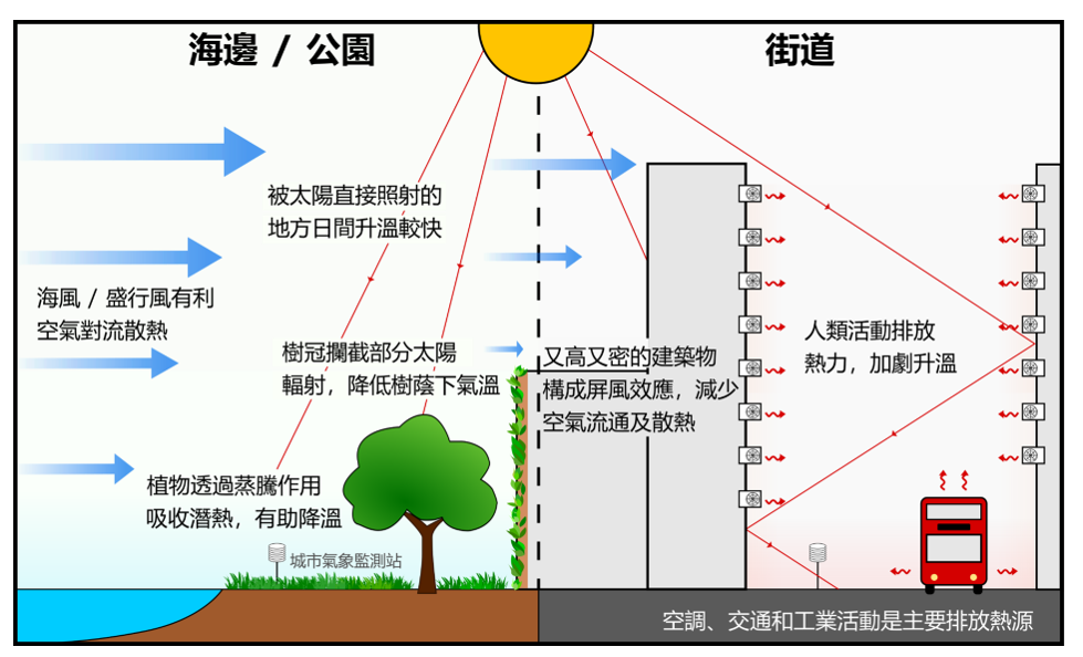 圖四  環境因素和人為活動對氣溫的影響。