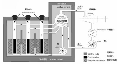 壓力管式石墨慢化沸水反應堆 （RBMK-1000）