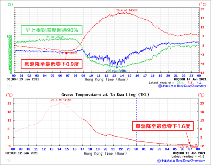 圖六：(上) 打鼓嶺2021年1月13日的溫度(紅線)、相對濕度(綠線)、露點溫度(藍線)。除了顯示溫度在早上降至零下0.9度外，亦可見相對濕度超過90%，有利輻射霜形成。(下) 打鼓嶺當日早上草溫降至最低零下1.6度。
