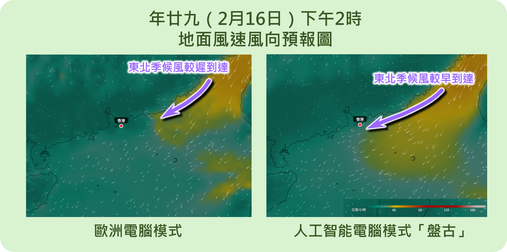 歐洲電腦模式（左）及人工智能電腦模式「盤古」（右）預報年廿九（2月16日）下午2時的地面風向及風速。
