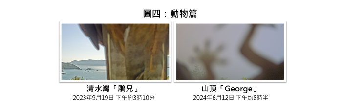 動物篇