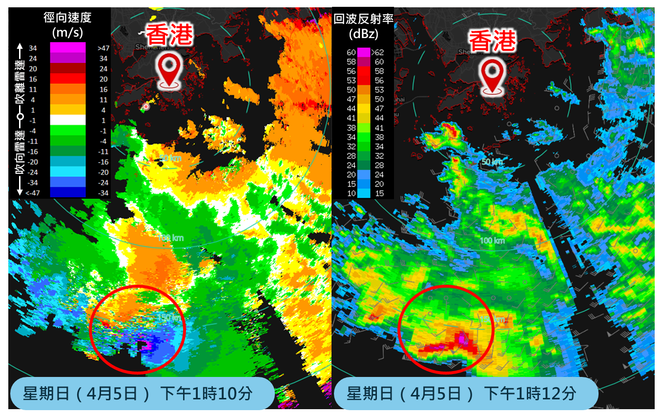 4月5日下午1時左右，本港以南約150公里的對流系統中出現中尺度氣旋特徵。（左）下午1時10分長洲C波段天氣雷達[1]的徑向風速圖像，暖色表示吹離雷達位置，冷色表示吹向雷達位置，紅圈可見中尺度氣旋的偶極結構。（右）下午1時12分基於多普勒雷達風速數據的低空風場分析，灰色風羽標示海拔3公里高的風場，背景為雷達反射率，紅圈可見中尺度氣旋的氣旋性環流