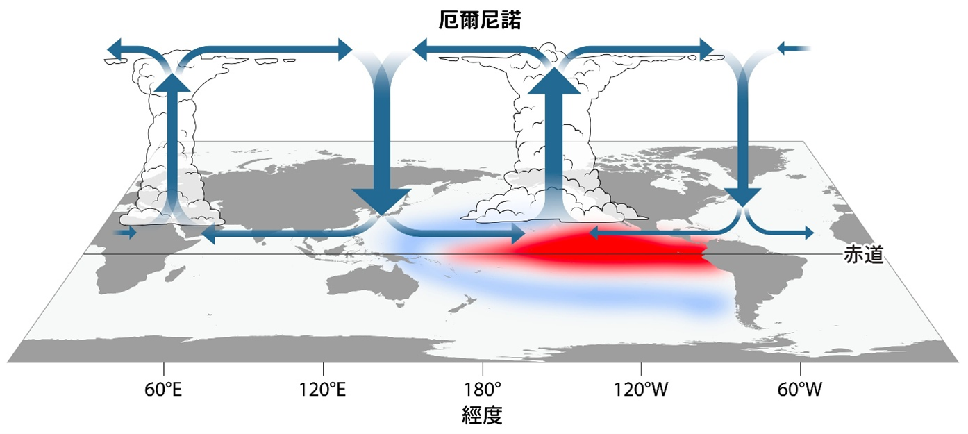 厄爾尼諾的海洋影響大氣環流的示意圖