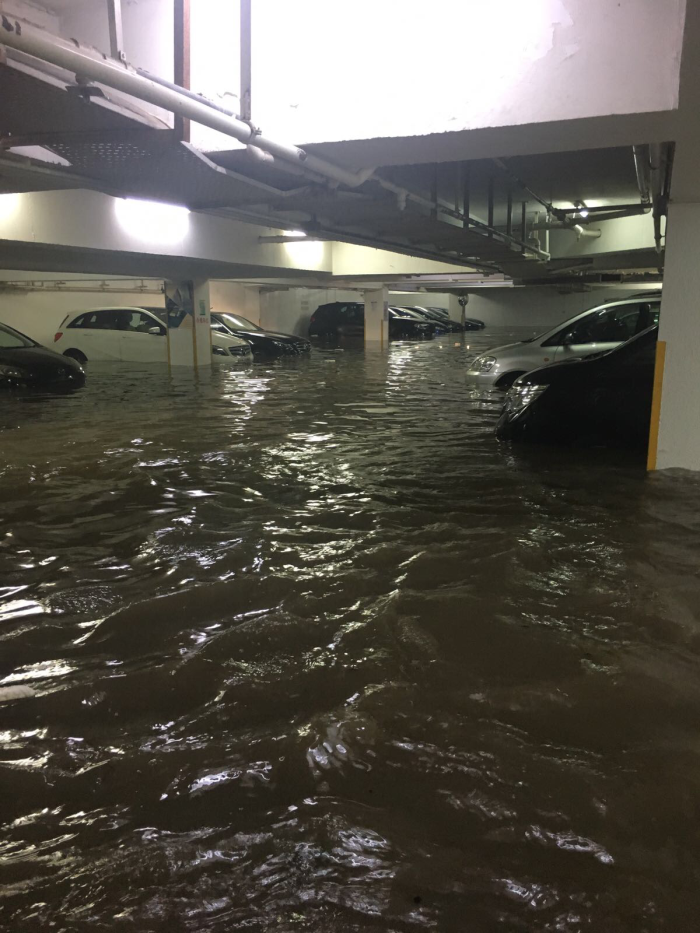 杏花邨有地下停車場完全被海水淹浸，多輛汽車被淹沒。