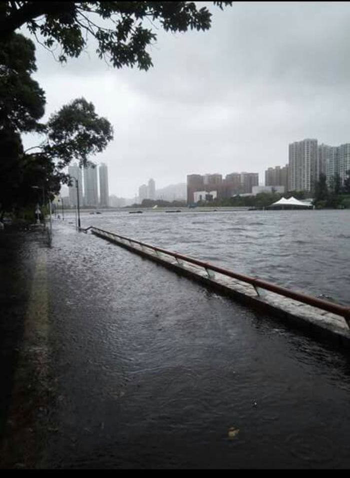 风暴潮带来的水浸和破坏