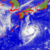 热带低气压八月十日至十三日