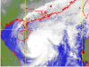 颱風浣熊