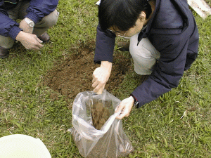 收集土壤样本