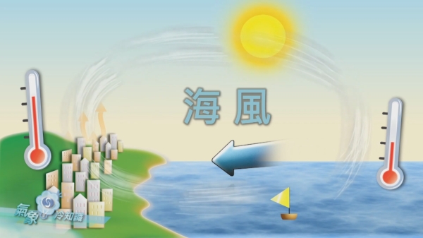 相片