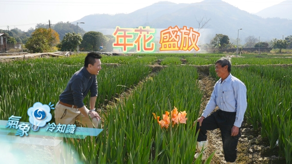 相片