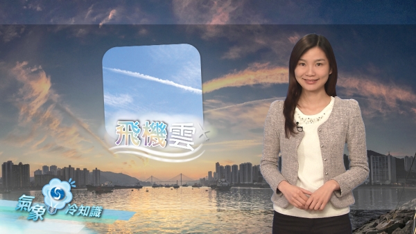 相片