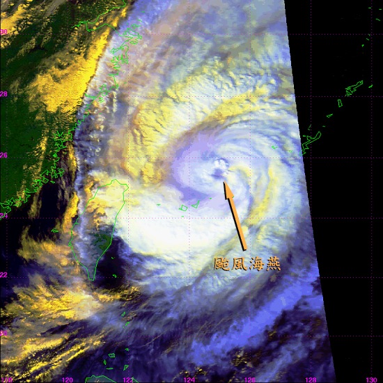 位於東海的颱風海燕 (拍攝時間─2001年10月16日下午2時13分)