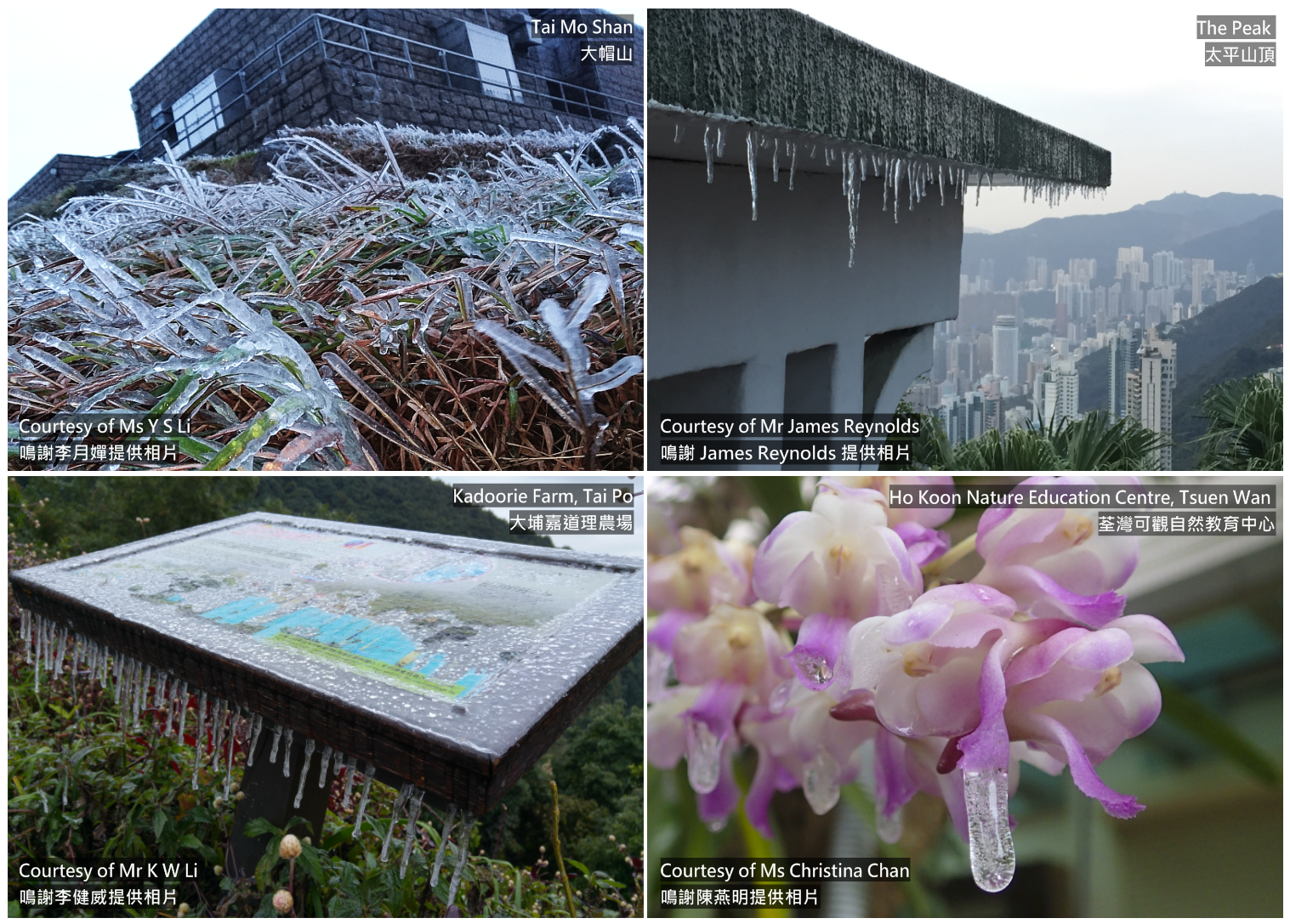 圖四    2016年1月24日在香港各地點的結冰報告