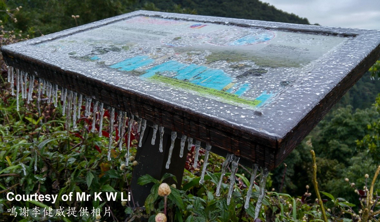 冻雨