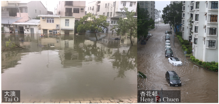 天鸽诱发的风暴潮令多处地区出现严重水浸